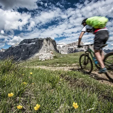 Linder Cycling
